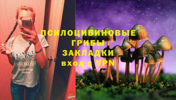 apvp Алексин