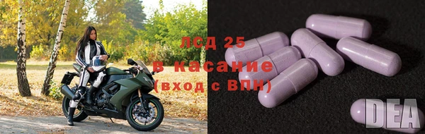 apvp Алексин